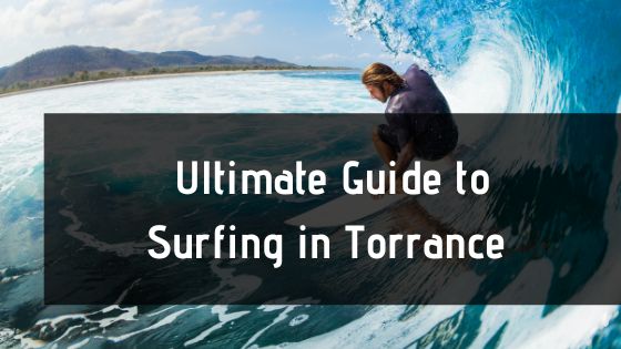 surfing in torrance